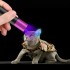 伍德氏灯5WUV紫光验钞手电照猫癣365nm荧光剂紫外线灯USB充电